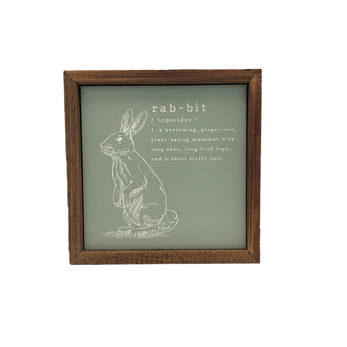 Rabbit Easter Décor Spring Sign - BW102 - Pack Of 2 ($6.75 Per Sign)