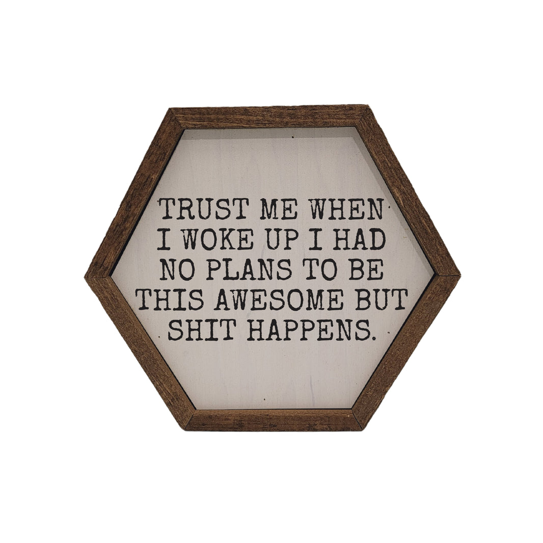 No Plans To Be This Awesome - EW075 - 2 Per Pack ($8.75 Ea. Sign)
