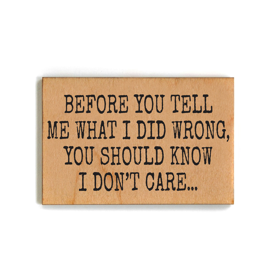 Before You Tell Me What I Did Wrong - XM173 - Pack Of 6 ( $2.25 Per Magnet)