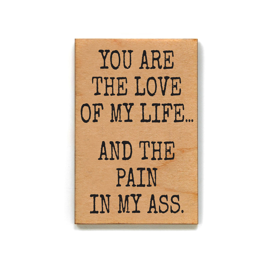 Love Of My Life And Pain In My Ass - XM193 - Pack Of 6 ( $2.25 Per Magnet)