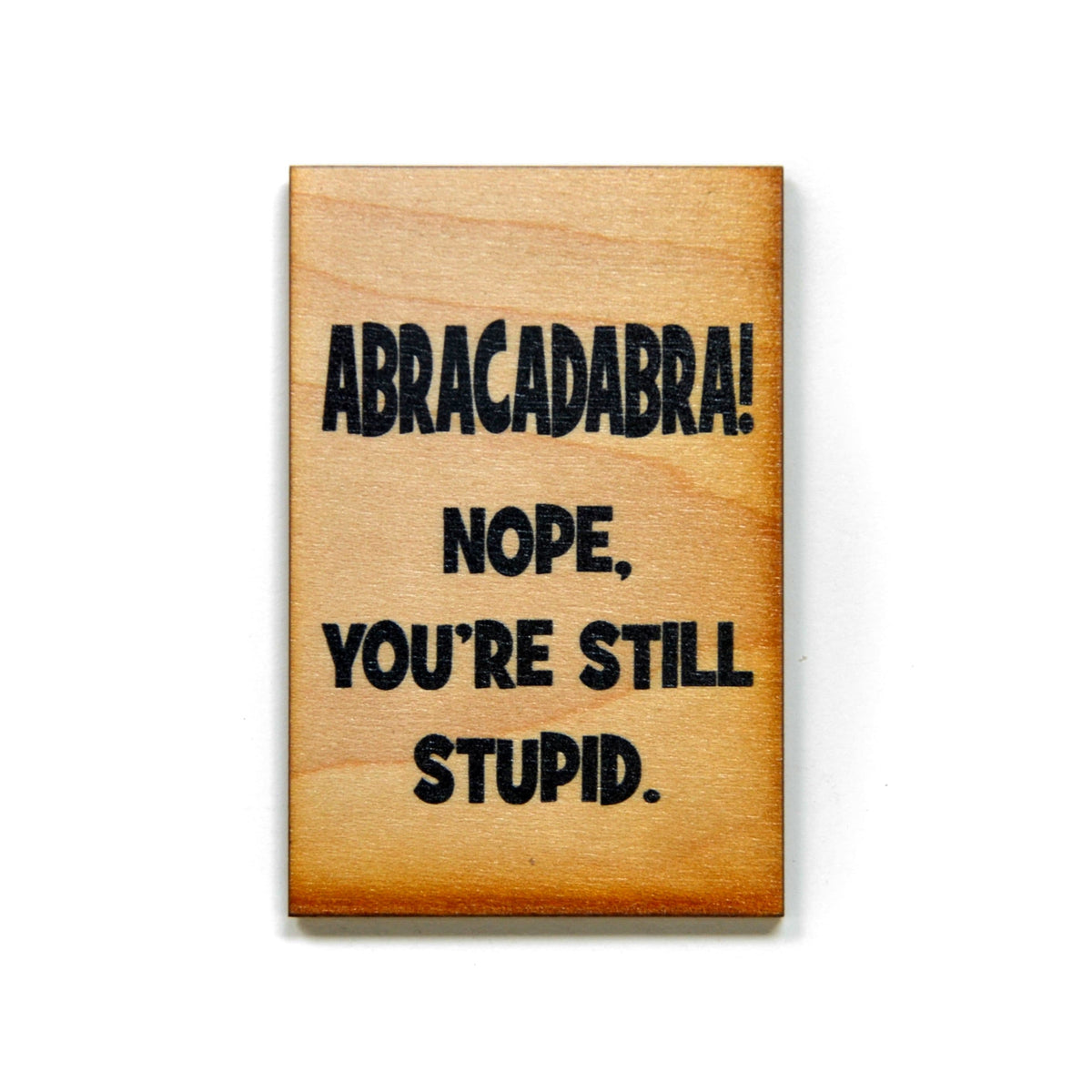ABRACADABRA Nope, You're still stupid Magnet - XM008 - Driftless Studios