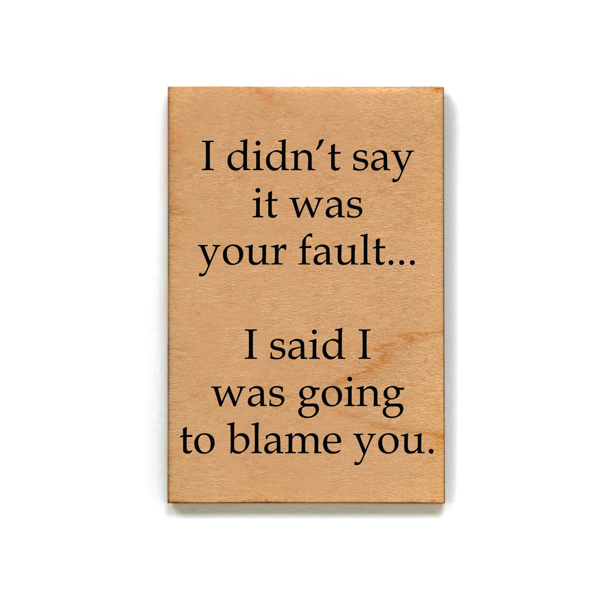 I didn't say it was you fault... Magnet - XM041 - Driftless Studios